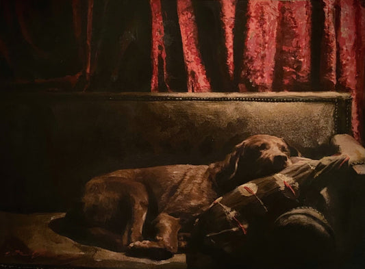‘Dreaming Of Dog Days’