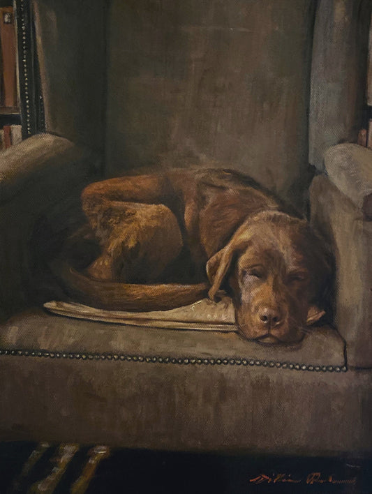 'My Favourite Chair'