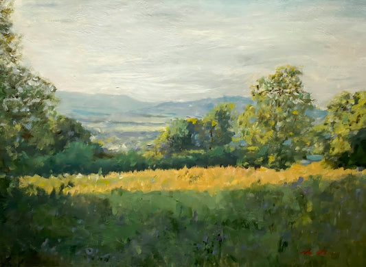 'Rectory Fields'