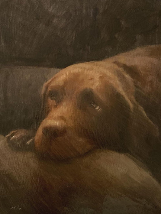 'Doodles'